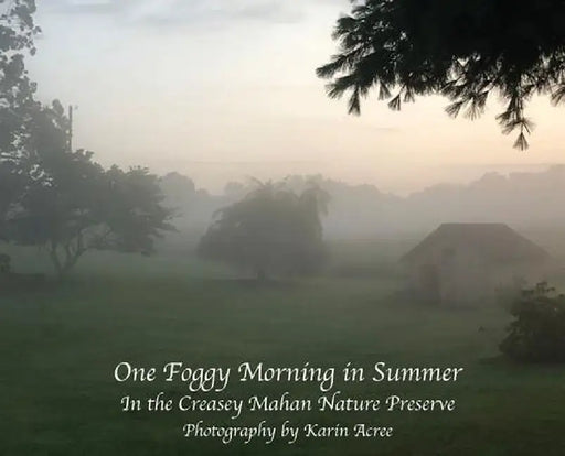 One Foggy Morning in Summer: In the Creasey Mahan Nature Preserve by Karin Acree