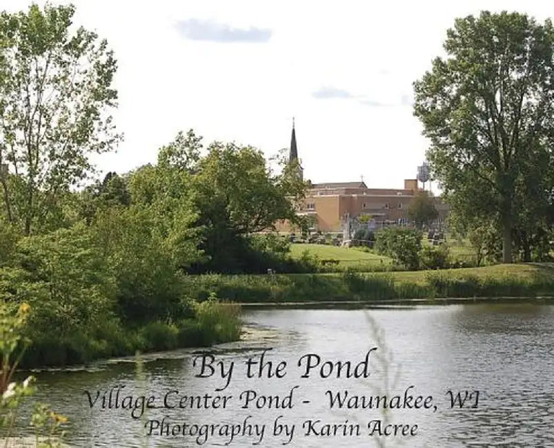 By the Pond by Karin Acree
