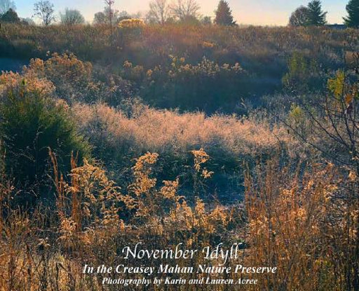 November Idyll: In the Creasey Mahan Nature Preserve by Karin Acree, Lauren Acree
