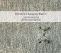 Florida's Changing Waters: A Beautiful World in Peril by Lynne Buchanan