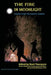 The Fire in Moonlight: Stories from the Radical Faeries 1971 - 2010 by Mark Thompson, Bo Young, Richard Neely