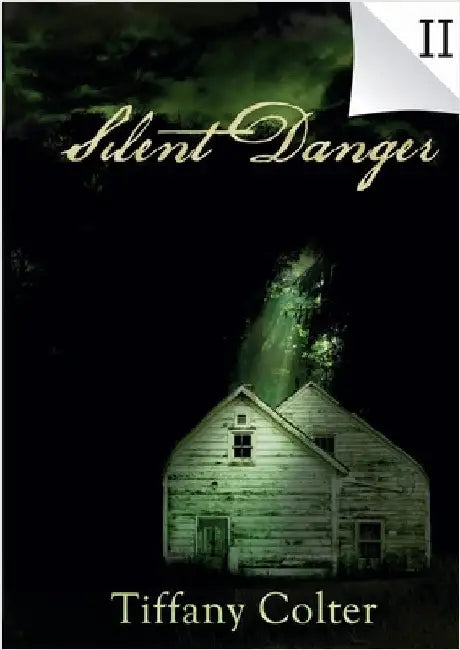 Silent Danger by Colter, Tiffany