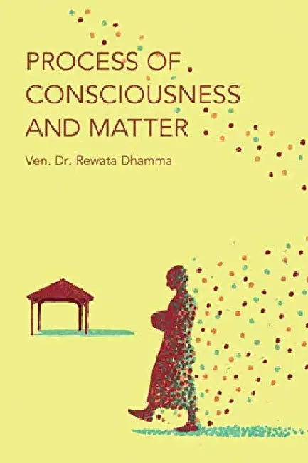 Process Of Consciousness And Matter: The Philosophical Psychology of Buddhism