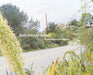 Both Sides of Sunset: Photographing Los Angeles by Jane Brown