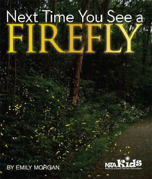 Next Time You See a Firefly by Emily Morgan