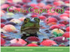 C Is for Cape Cod by Christie Laurie, Steve Heaslip