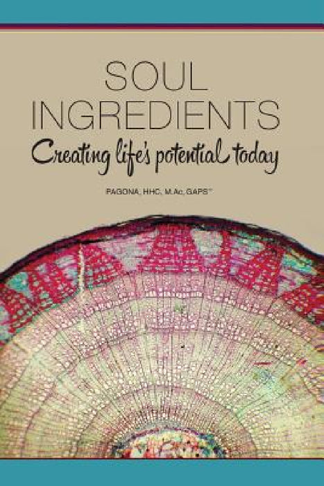 Soul Ingredients: Creating Life's Potential Today by Pagona Papadopoulos, Pagona