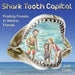 Shark Tooth Capital by Judi Cobb