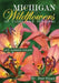 Michigan Wildflowers: Up Close and Personal: Late Summer Volume by Dee Howe
