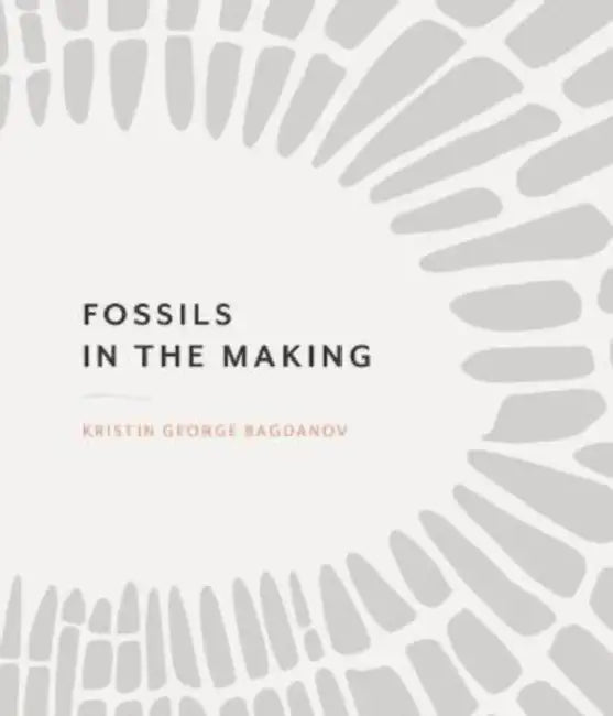 Fossils in the Making by Kristin George Bagdanov
