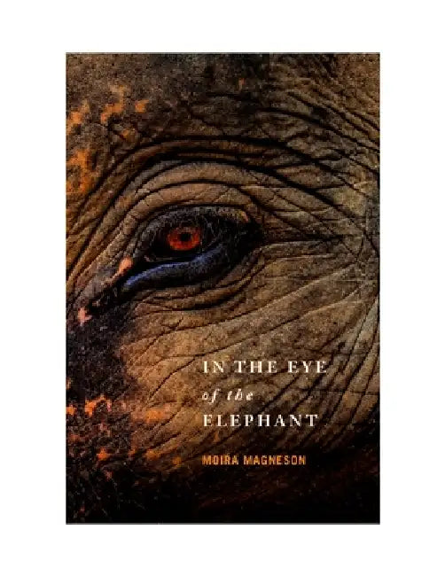 In the Eye of the Elephant by Moira Magneson