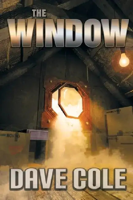 The Window by Dave Cole