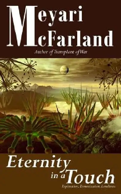 Eternity in a Touch by Meyari McFarland