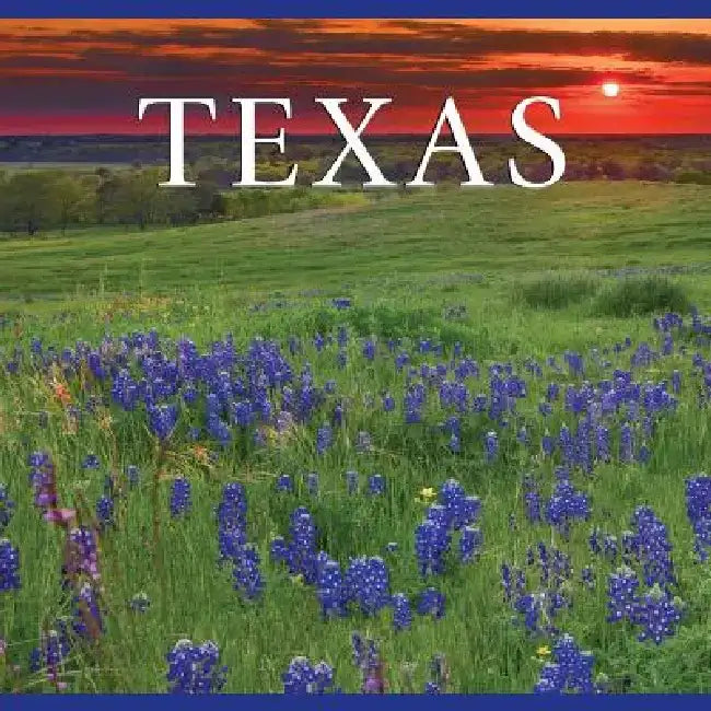 Texas by Tanya Lloyd Kyi