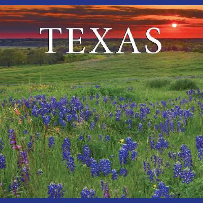 Texas by Tanya Lloyd Kyi
