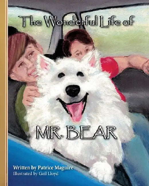 The Wonderful Life of Mr. Bear by Patrice Maguire