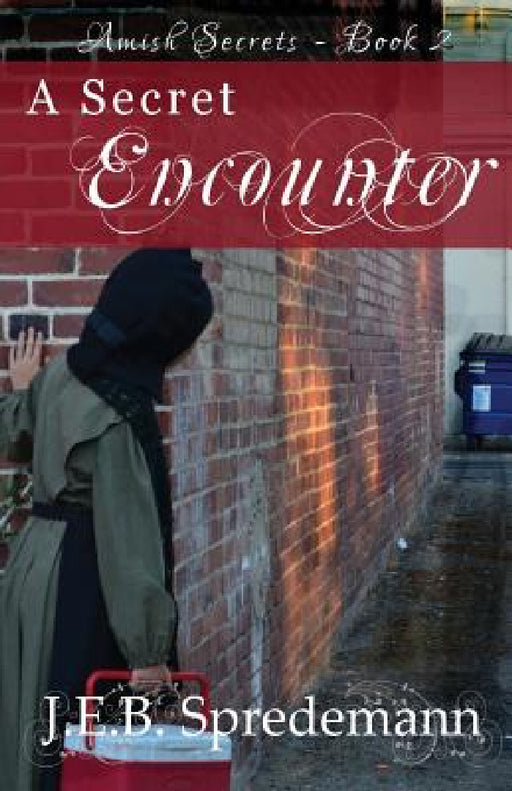 A Secret Encounter (Amish Secrets #2) by J. E. B. Spredemann, Jennifer Spredemann