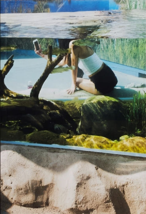 Aquarium by Barak Zemer