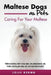 Maltese Dogs as Pets: Maltese breeding, where to buy, types, care, temperament, cost, health, showing, grooming, diet, and much more include by Lolly Brown