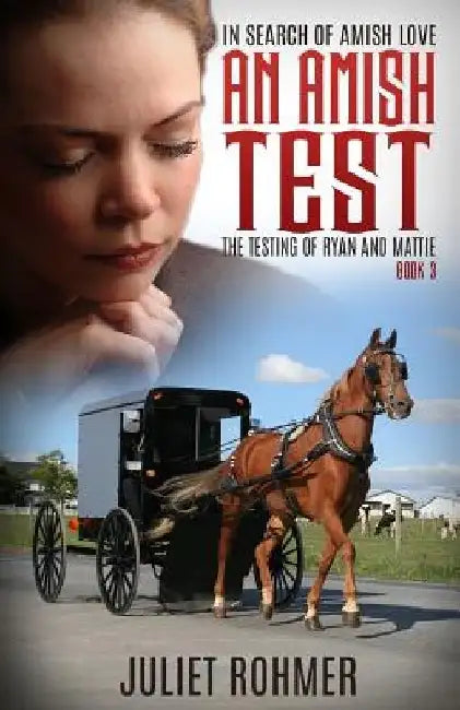 An Amish Test: The Testing of Ryan and Mattie by Juliet Rohmer