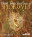 Next Time You See a Spiderweb by Emily Morgan
