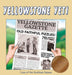 Yellowstone Yeti: Case of the Gushless Geyser by Craig Vroom, Angela Matlashevsky