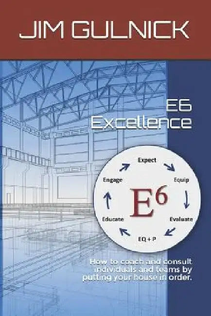 E6 Excellence: How to Coach and Consult Individuals and Teams by Putting Your House in Order. by Lisett Guevara