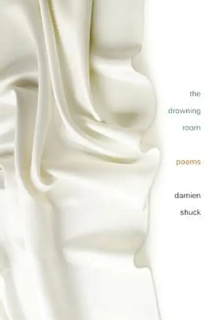 The Drowning Room by Damien Shuck
