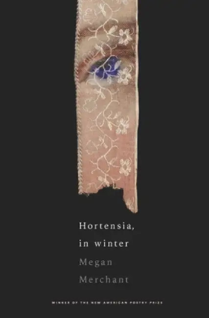Hortensia, in winter by Megan Merchant