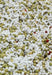 Jason Rhoades: Pearoefoam by Jason Rhoades