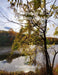 The Splendor of Lake Elkhorn in the Fall by Wynette McKenzie