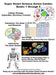 Super Smart Science Series Combo Book: 1 through 5 by April Chloe Terrazas