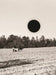 Ground: A Reprise of Photographs from the Farm Security Administration by Bill McDowell, Jock Reynolds, Rosanne Cash