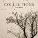 Collections: Birds Bones and Butterflies by Leah Sobsey, John Fitzpatrick, Xandra Eden