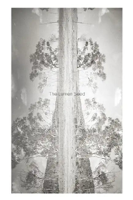 The Lumen Seed: Records of a Search in the Australian Desert by Judith Crispin