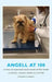 Angell at 100: A Century of Compassionate Care for Animals and Their Families at Angell Animal Medical Center by Karen Campbell