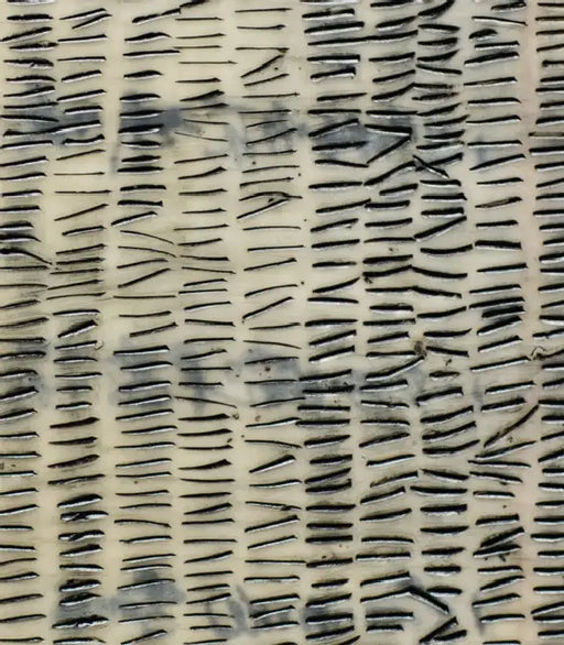 Catherine Eaton Skinner: 108 by Catherine Skinner, Elizabeth Brown