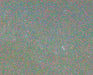 Aaron Rothman: Signal Noise by Aaron Rothman