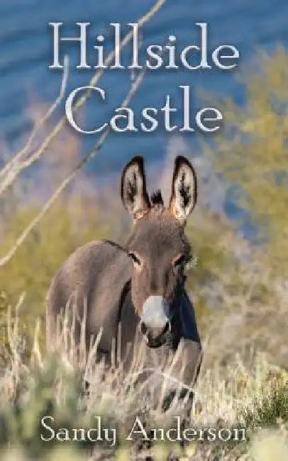 Hillside Castle by Sandy Anderson
