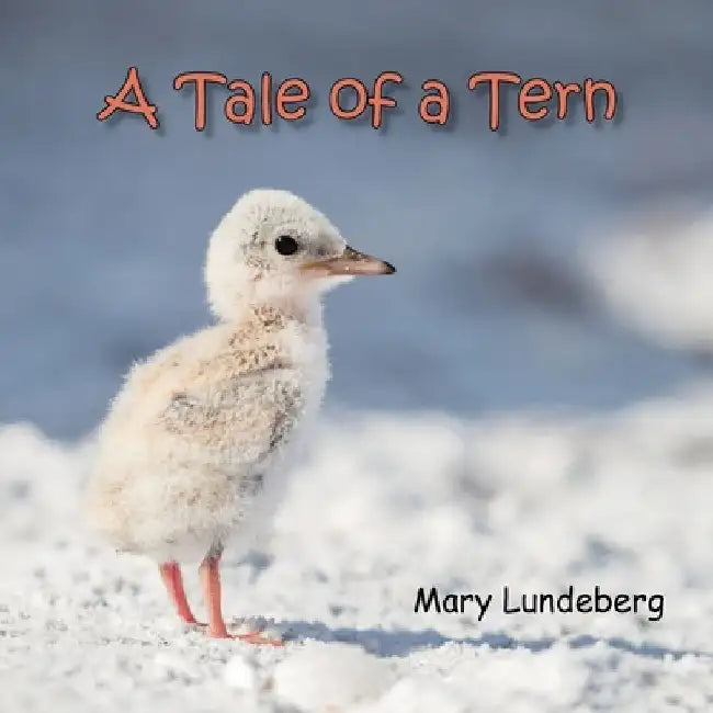 A Tale of a Tern by Mary A. Lundeberg
