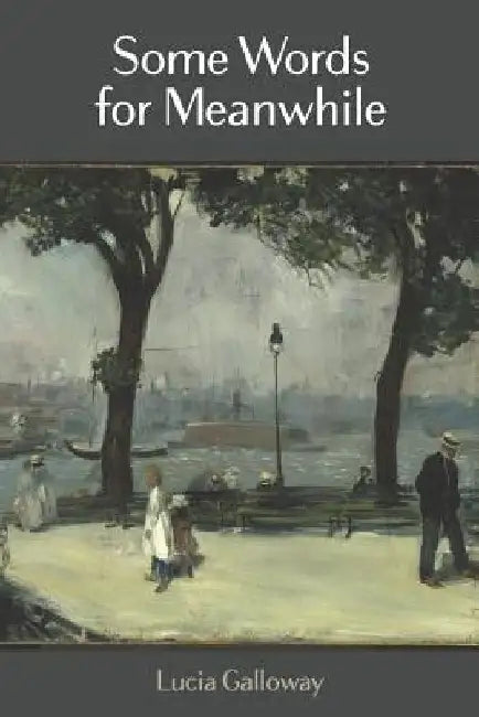Some Words for Meanwhile by Diane Kistner