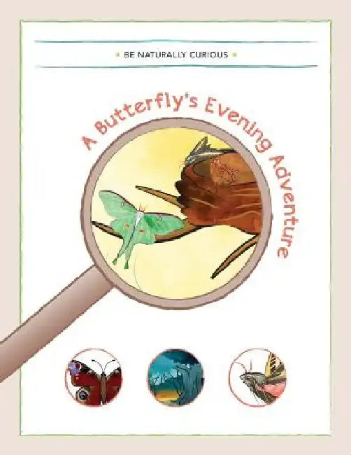 A Butterfly's Evening Adventure by Be Naturally Curious