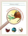 A Butterfly's Evening Adventure by Be Naturally Curious
