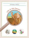 Life in the Desert by Be Naturally Curious