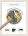 Amazing Animal Migrations by Be Naturally Curious