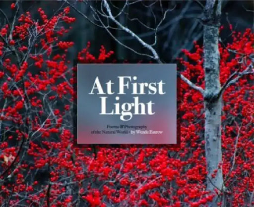 At First Light:: Poems & Photography by Wende Essrow