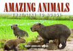 Amazing Animals: That Like to Nurse by Mary Angelon Young
