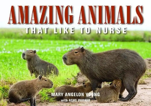 Amazing Animals: That Like to Nurse by Mary Angelon Young