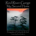 Red River Gorge: My Second Home by John Snell