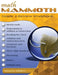 Math Mammoth Grade 2 Review Workbook by Maria Miller